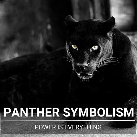 Panther Power: How the Mascot Inspires Team Success